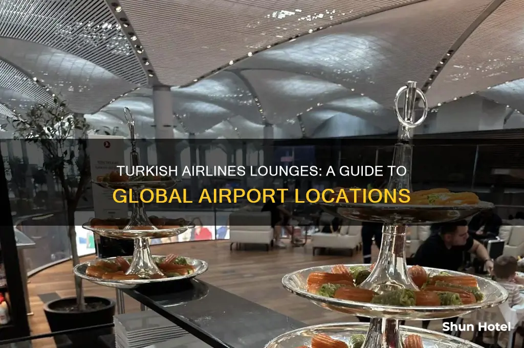 which international airports have turkish airlines lounges