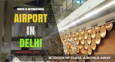 Delhi's Gateway to the World: Exploring Its International Airport