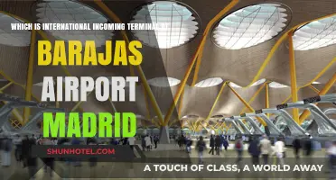 Navigating Madrid's Barajas Airport: Identifying the International Incoming Terminal