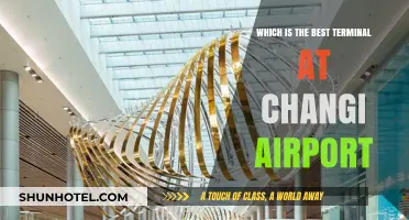 Exploring Changi Airport: A Guide to the Best Terminal Experience