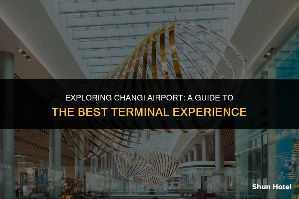 which is the best terminal at changi airport