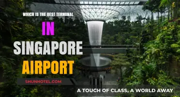 Exploring Singapore Airport: A Guide to the Best Terminals