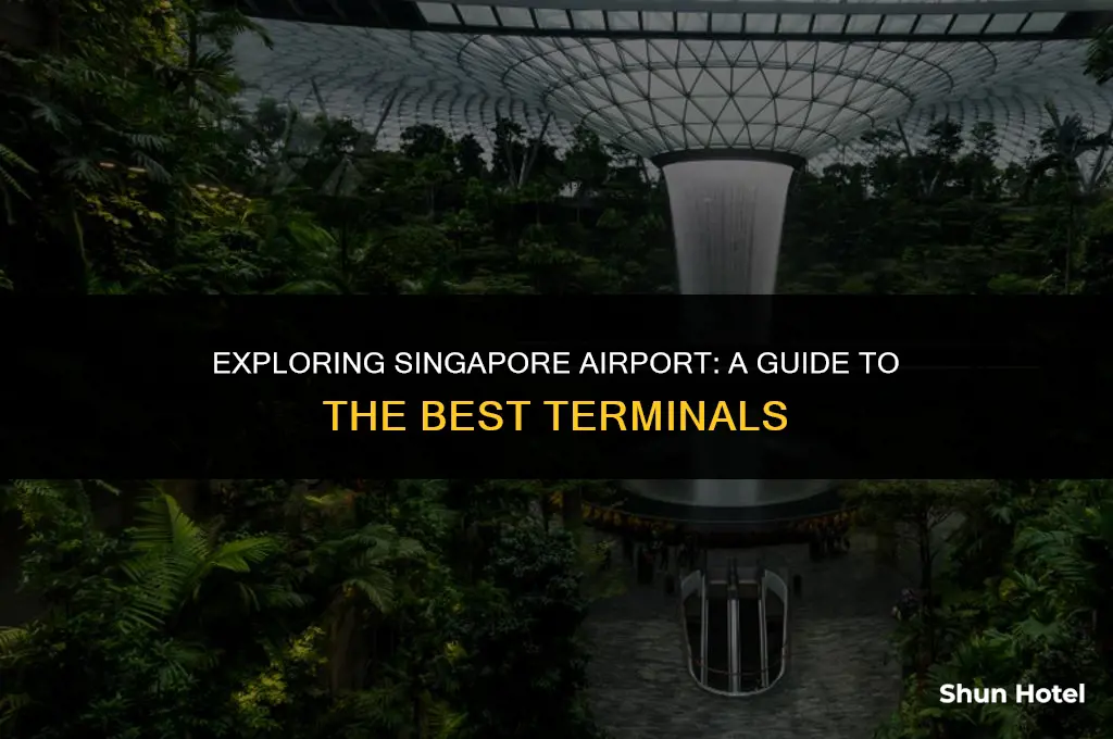 which is the best terminal in singapore airport