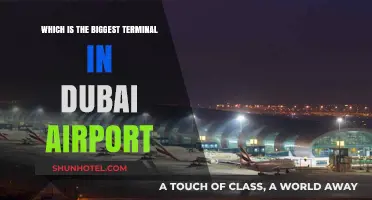 Exploring Dubai Airport: Unveiling the Largest Terminal