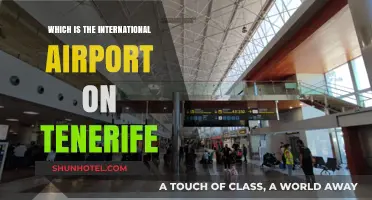 Discover Tenerife's Main International Airport: A Comprehensive Guide