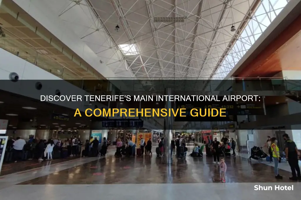 which is the international airport on tenerife