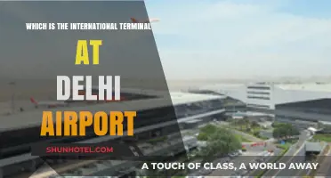 Navigating Delhi Airport: Identifying the International Terminal with Ease