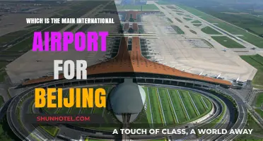Beijing's Main International Airport: A Comprehensive Guide for Travelers