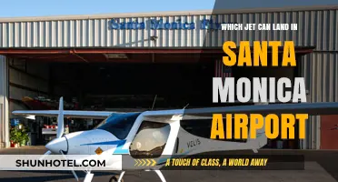 Private Jets Landing in Santa Monica Airport