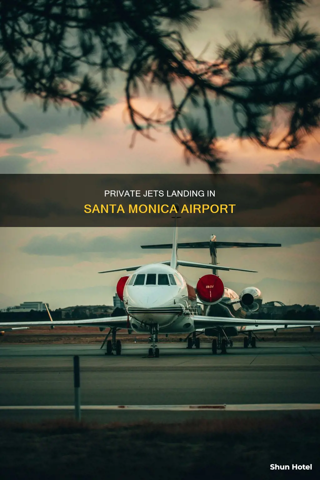 which jet can land in santa monica airport