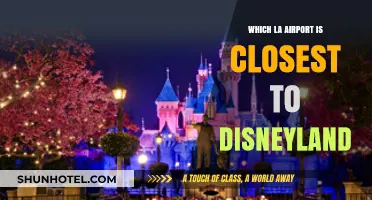 Flying to Disneyland: Which LA Airport is Your Best Bet?