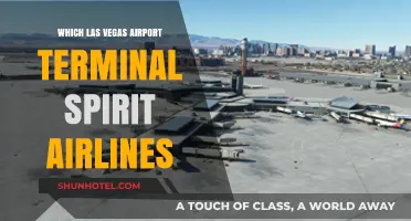 Exploring Las Vegas: Spirit Airlines' Terminal Guide
