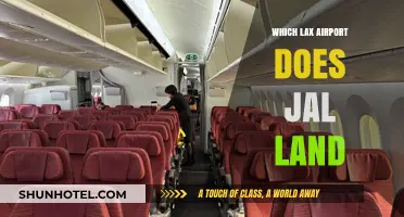 JAL's LAX Landing: Which Airport Terminal?