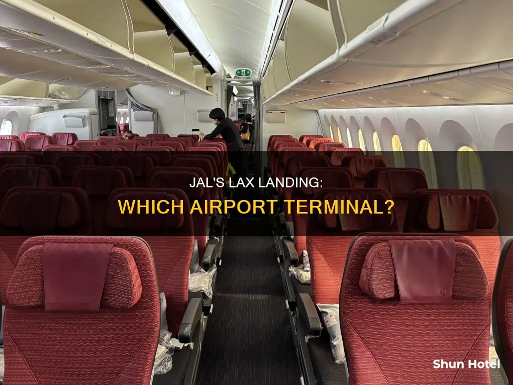 which lax airport does jal land