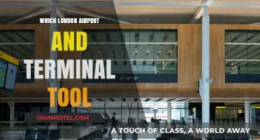 Navigating London's Airports: Your Ultimate Terminal Guide