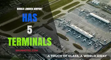 Exploring London's Largest Airport: A Guide to Its Five Terminals