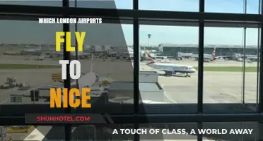 London to Nice: Which Airports Offer Direct Flights?