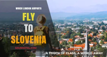 London to Slovenia: Which Airports Offer Direct Flights?