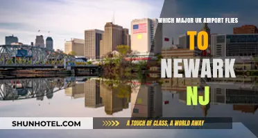 UK to Newark: Which Major UK Airport Offers Direct Flights?