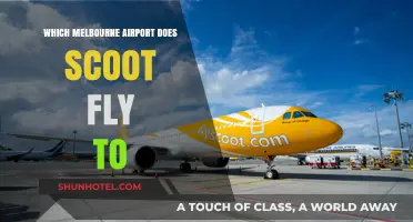 Scoot's Melbourne Airport Destination: Which Hub Does It Serve?
