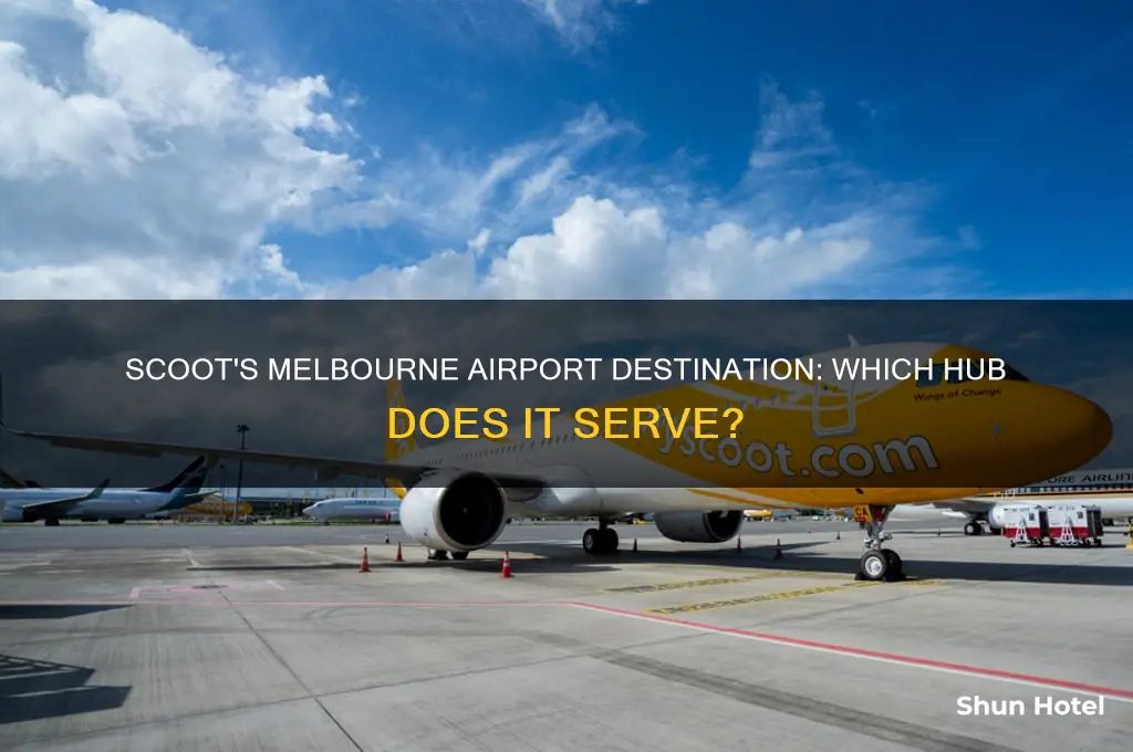 which melbourne airport does scoot fly to