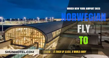 Norwegian Air Destinations: Which New York Airport Does It Serve?