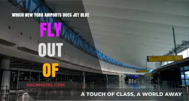 JetBlue's New York Takeoff Hubs: Which Airports Serve the Carrier?