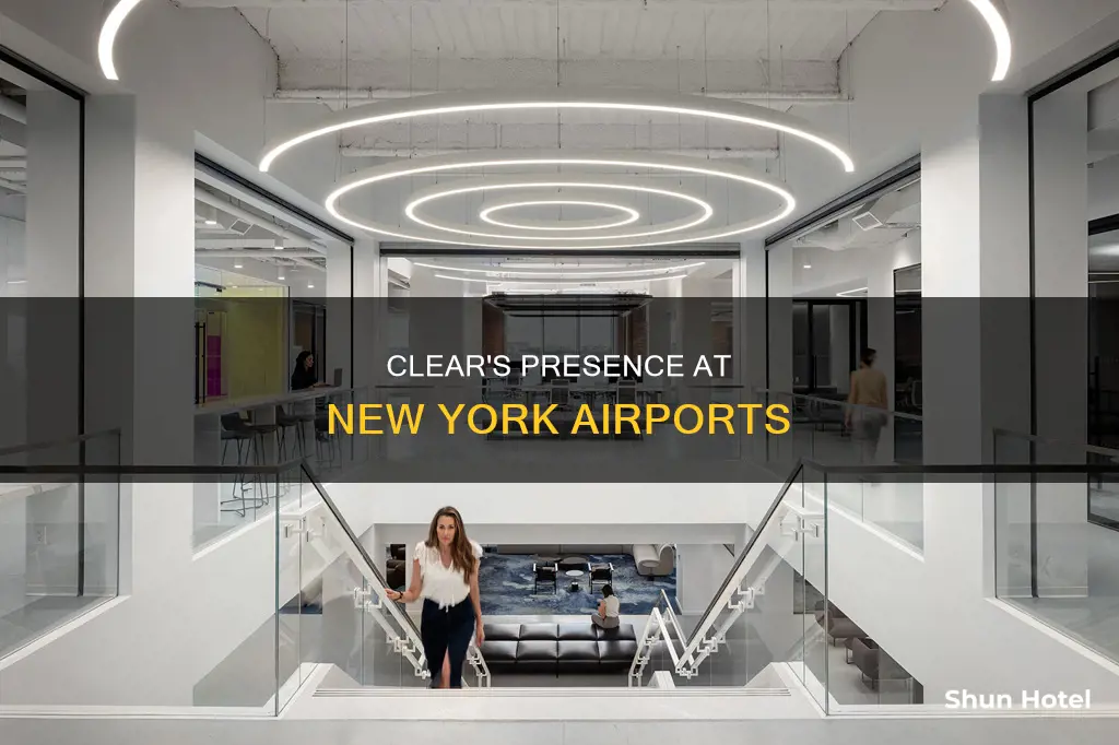 which new york airports have clear