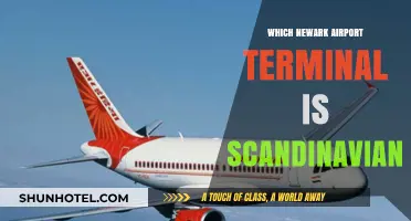 Scandinavian Airlines' Newark Terminal: Your Gateway to Nordic Destinations