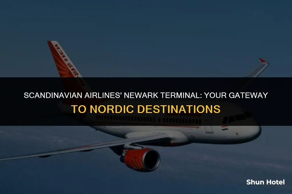 which newark airport terminal is scandinavian
