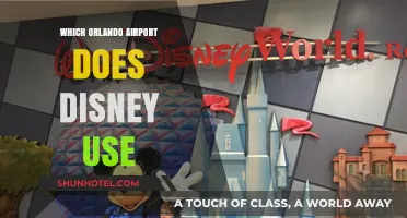 Disney's Orlando Airport: Which One to Choose?