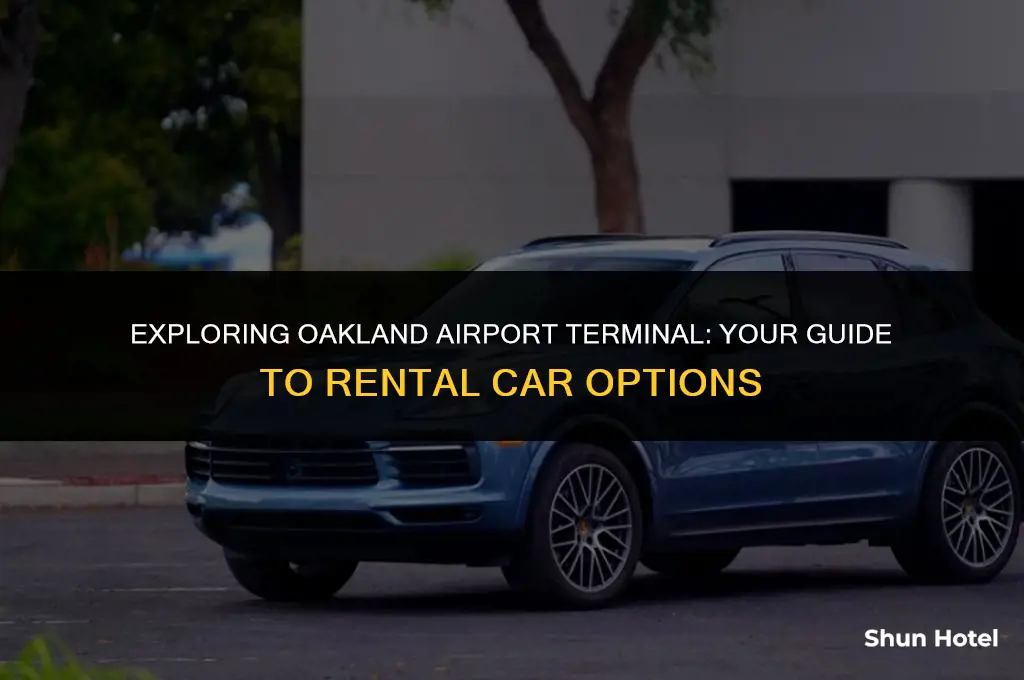 which rental car companies are at oakland airport terminal
