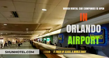 Orlando Airport Rental Car Options: Which Companies Are Open?