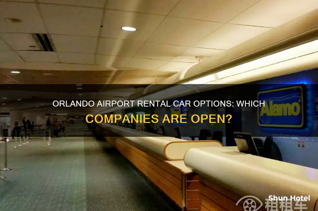 which rental car companies is open in orlando airport