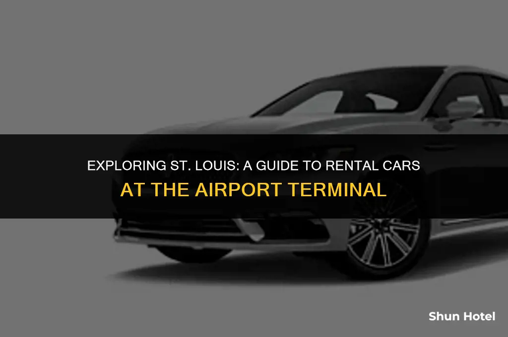 which rental cars are at the st louis airport terminal