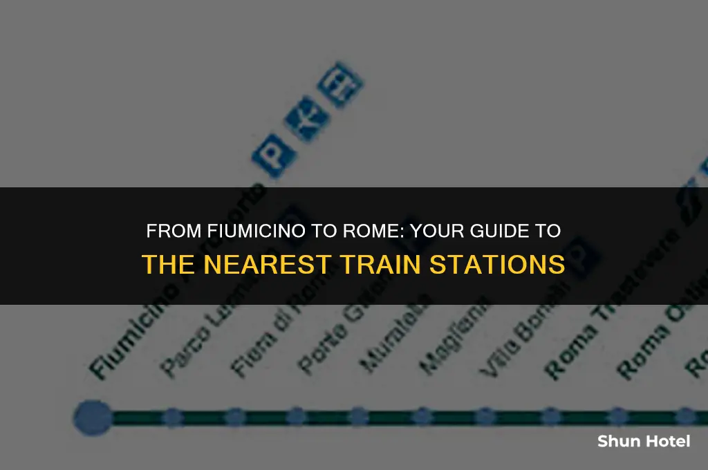 which rome train station is closest to the airport