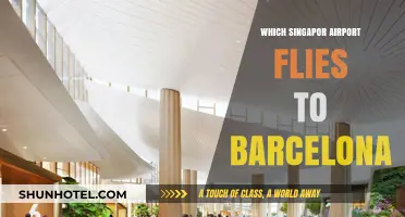 Singapore Changi Airport: Your Gateway to Barcelona Flights