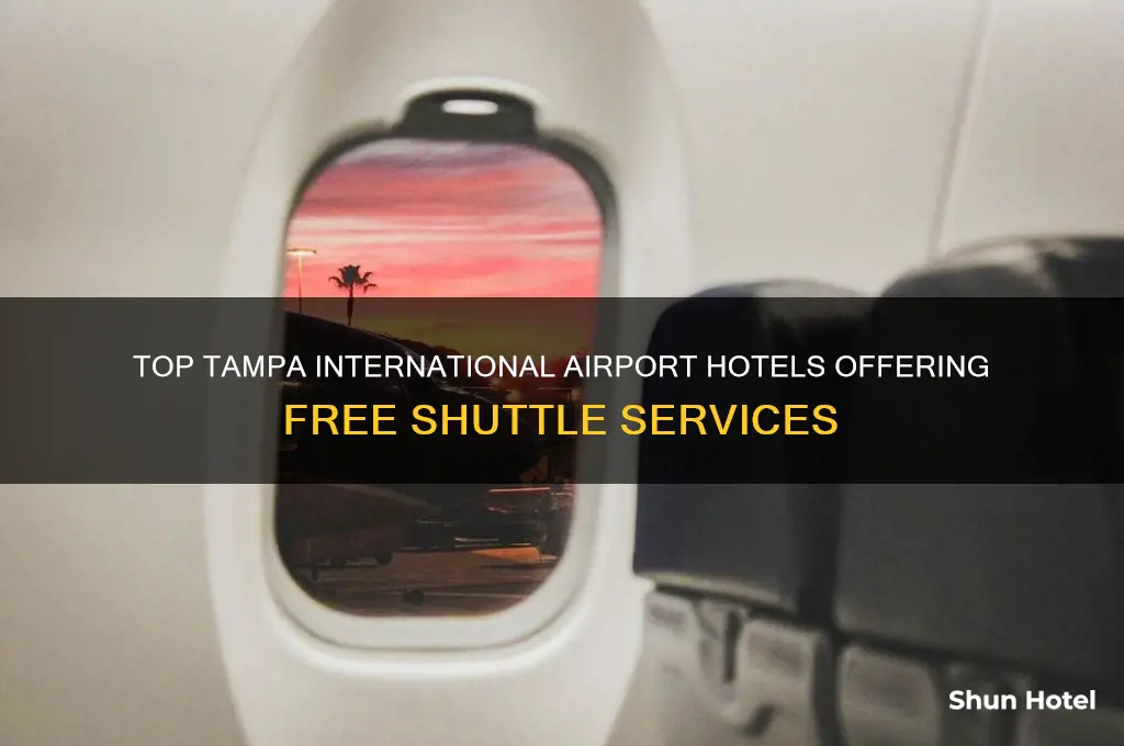 which tampa international airport hotels take you to the airport