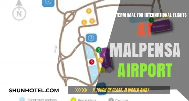 Malpensa Airport International Flights: Which Terminal to Choose?