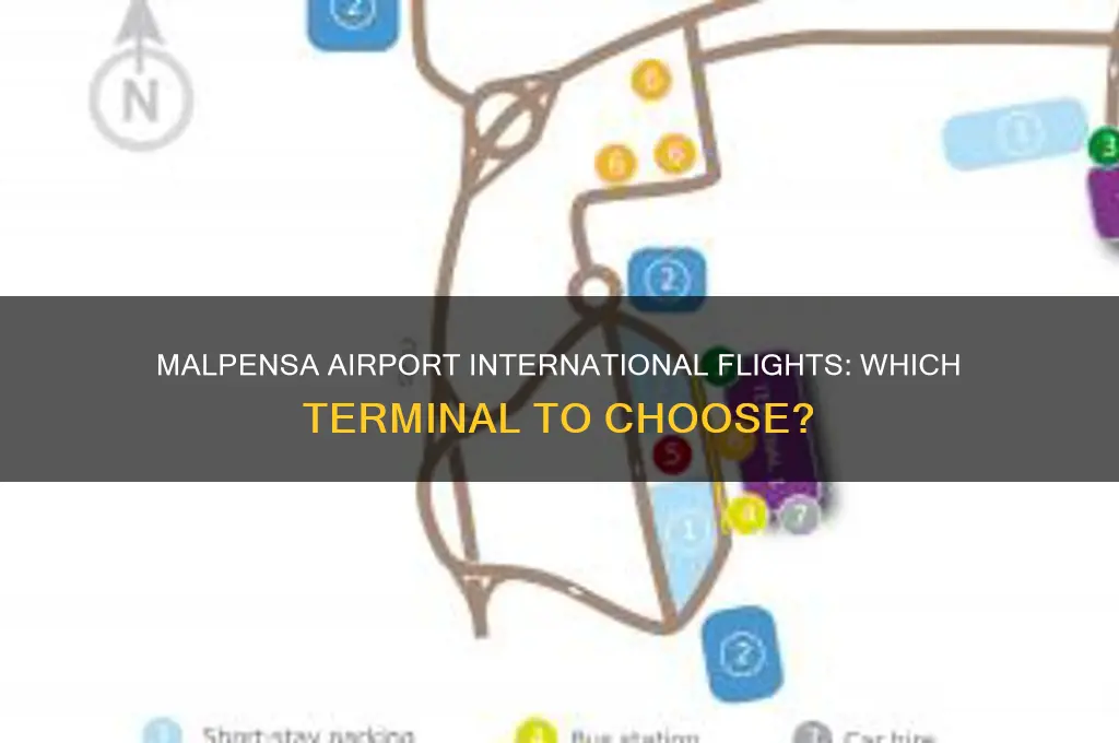 which termimal for international flights at malpensa airport