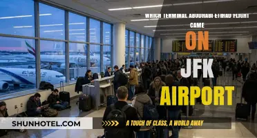 Etihad Airways Terminal Arrival at JFK Airport: A Comprehensive Guide