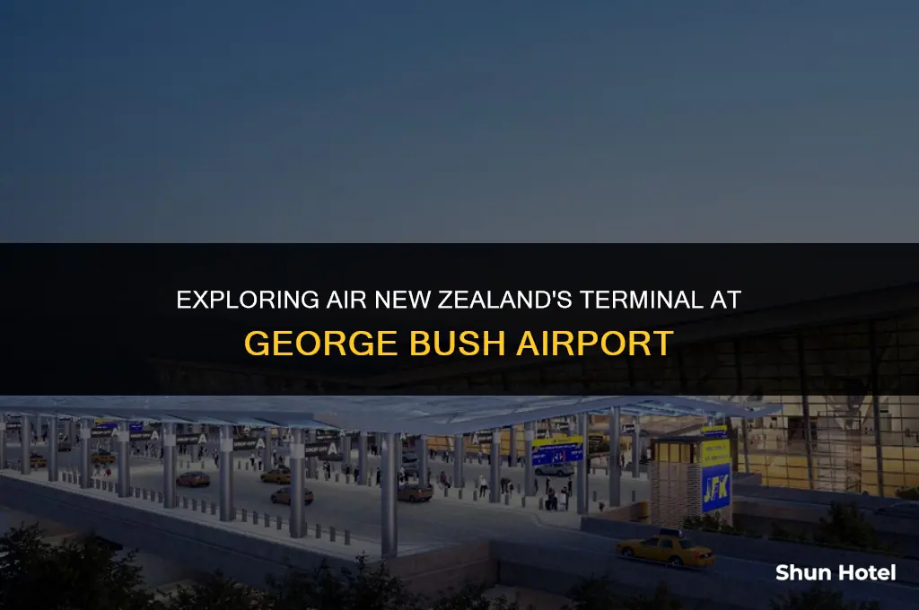 which terminal air nz george bush airport