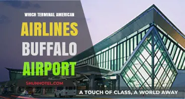 Exploring Buffalo Airport: Your Guide to American Airlines Terminal