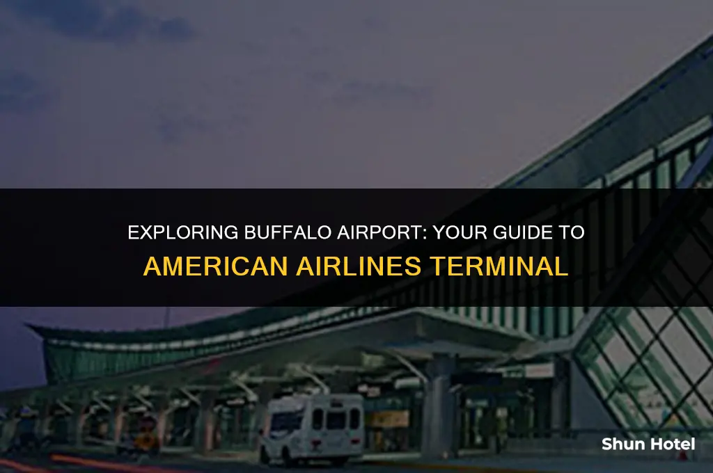 which terminal american airlines buffalo airport