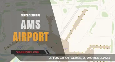 Navigating AMS Airport: Your Guide to Terminal Selection