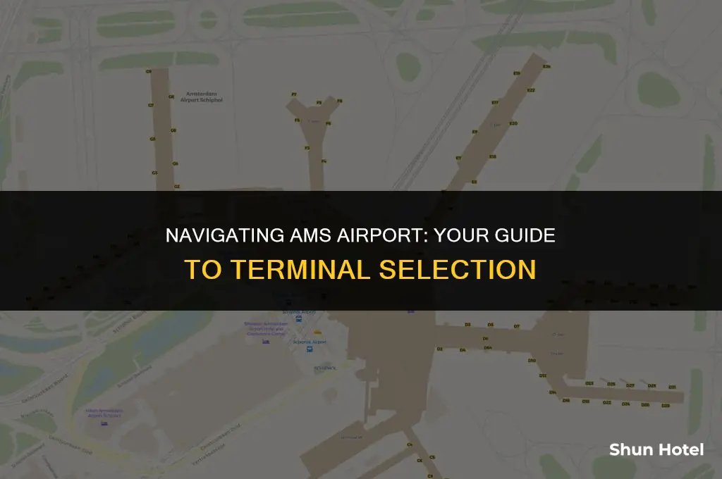 which terminal ams airport