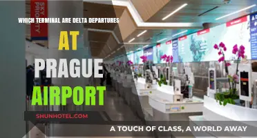 Navigating Prague Airport: A Guide to Delta Departures Terminal
