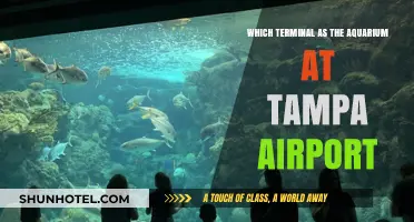 Exploring Tampa Airport: A Guide to the Aquarium Terminal
