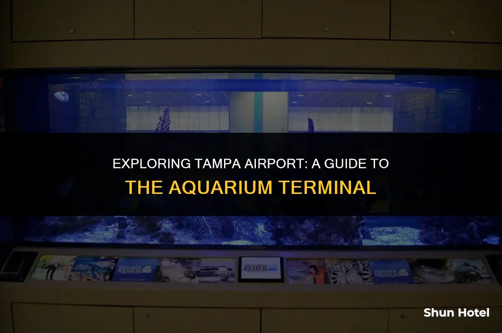 which terminal as the aquarium at tampa airport