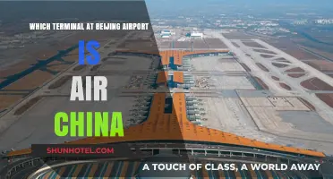 Navigating Beijing Airport: Which Terminal Does Air China Use?